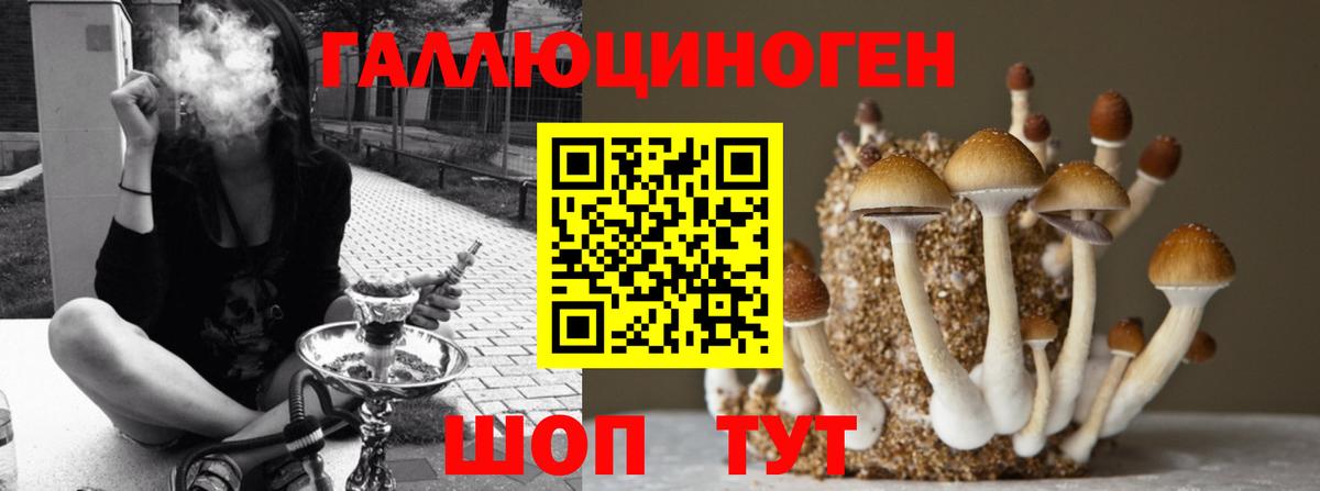 Саров  Галлюциногенные грибы GOLDEN TEACHER  Вход с VPN 
